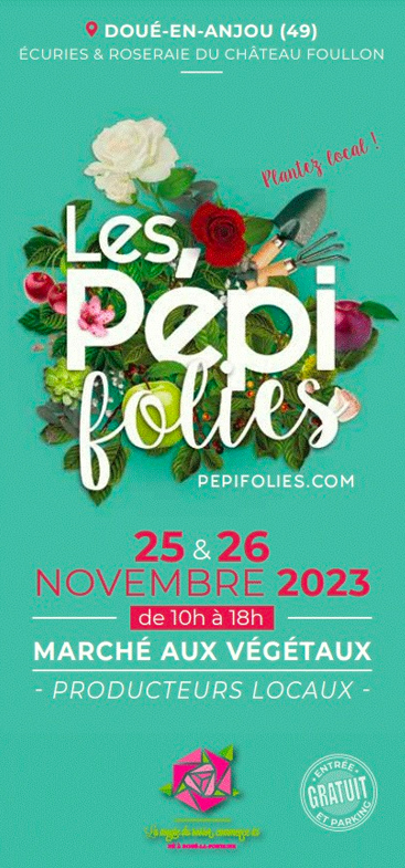 Pépifolies 2023 à Doué-la-Fontaine commune de Doué en Anjou - Journées de la Rose